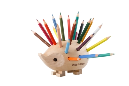 Ježek malý (Natur - přírodní)