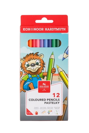 Cardboard packaging (Hexagonal, 12 pcs)